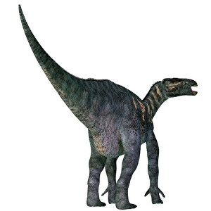 Herbivorous Dinosaurs Drucke: Iguanodon dinosaur