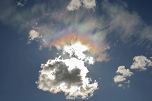 Iridescent Clouds Drucke: Iridescent clouds, Alberta, Canada