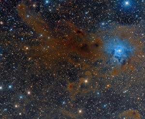 Cepheus Constellation Drucke: The Iris Nebula in Cepheus