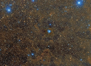 Cepheus Constellation Drucke: The Iris Nebula in Cepheus