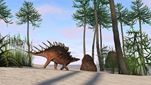 Jurassic Period Artwork Drucke: Kentrosaurus walking across a prehistoric landscape