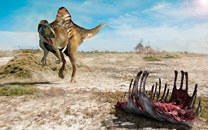 Cretaceous Era Animals Drucke: A large Concavenator has found a carcass