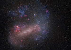 Star Formation Process Drucke: Large Magellanic Cloud