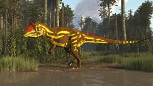 Paleontology Artwork Drucke: A large predator, Siats meekerorum