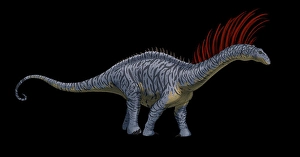 Paleozoology Images Drucke: Lateral view of a Bajadasaurus dinosaur