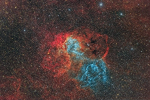 Emission Nebula Pictures Drucke: Lion Nebula, Sh2-132