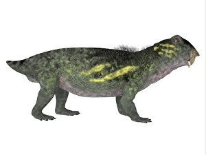 Jurassic Period Artwork Drucke: Lystrosaurus dinosaur, side profile