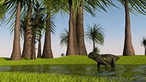 Jurassic Dinosaur Drucke: Lystrosaurus in shallow water