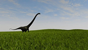 Prehistoric Dinosaur Drucke: Mamenchisaurus walking across a grassy field