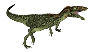 Cretaceous Era Dinosaurs Drucke: Masiakasaurus dinosaur roaring