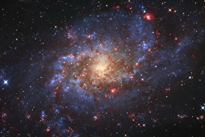 Spiral Galaxy Pictures Drucke: Messier 33, the Triangulum Galaxy
