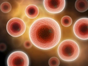 Biomedical Illustrations Drucke: Microscopic view of cell