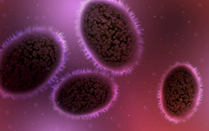 Smallpox Virus Drucke: Microscopic view of samllpox