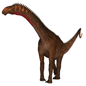 Dinosaur Artwork Drucke: Mierasaurus dinosaur on white background