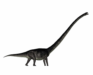 Prehistoric Animal Artwork Drucke: Omeisaurus dinosaur - 3D render
