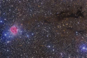 Emission Nebula Images Drucke: The Cocoon Nebula