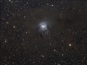 Cepheus Constellation Drucke: The Iris Nebula