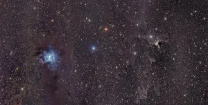 Cepheus Constellation Drucke: The Iris Nebula in Cepheus