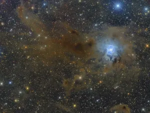 Star Formation Process Drucke: The Iris Nebula in the constellation Cepheus