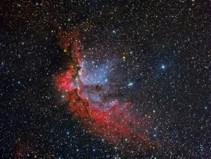 Emission Nebula Pictures Drucke: NGC 7380, the Wizard Nebula
