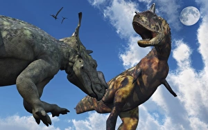 Paleozoology Illustrations Drucke: A Pachyrhinosaurus confronting a Carnotaurus