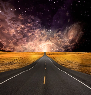 Rural Road Scenery Drucke: Path vanishes in background