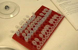 Laboratory Equipment Photography Drucke: Rack of test tubes