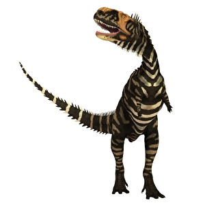 Prehistoric Animal Artwork Drucke: Rajasaurus dinosaur, front view
