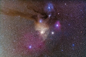 Star Formation Process Drucke: Rho Ophiuchi cloud complex