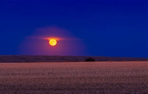 High Dynamic Range Images Drucke: The rising of the full moon of October