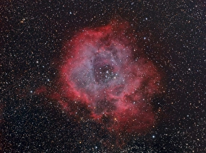 Rosette Nebula Drucke: The Rosette Nebula