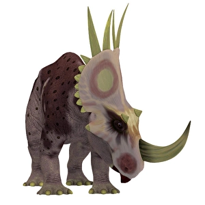 Cretaceous Era Dinosaurs Drucke: Rubeosaurus dinosaur, front view