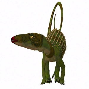 Prehistoric Creature Drucke: Scutellosaurus dinosaur, front view