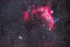 Emission Nebula Pictures Drucke: The Seagull Nebula, top, with NGC 2359
