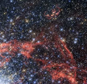 Supernova Explosion Drucke: Search For Stellar Survivor of a Supernova Explosion