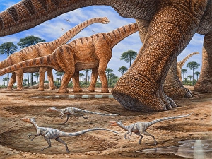 Sauropod Dinosaurs Drucke: Small Compsognathus dinosaurs try to avoid getting trampled by a passing Brachiosaurus herd