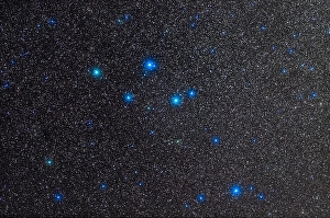 Delphinus Constellation Drucke: The small constellation of Delphinus