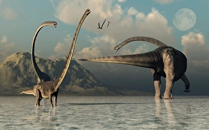 Prehistoric Herbivores Drucke: A small herd of Omeisaurus dinosaurs