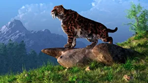 Drucke von Smilodons auf einem Bergsattel Fleischfresser Drucke: Smilodons auf einer Bergseite