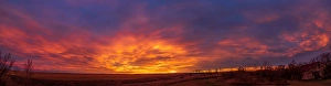 Cloudy Sky Images Drucke: Spectacular sunrise clouds over the fields from Alberta