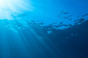 Sunny Day At The Beach Drucke: Sunlight streaming through the surface of the Pacific Ocean