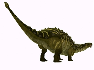 Fierce Prehistoric Creatures Drucke: Talarurus dinosaur on white background