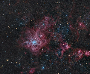 Astrophotography Universe Drucke: Tarantula Nebula