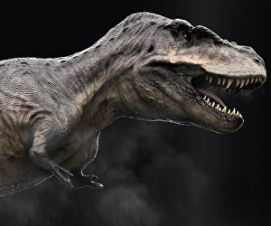 Digitally Generated Artwork Drucke: Tarbosaurus dinosaur, profile view