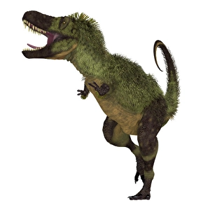 Feathered Dinosaurs Drucke: Tarbosaurus dinosaur, front view on white background