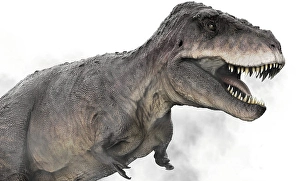 Digitally Generated Artwork Drucke: Tarbosaurus dinosaur on white background