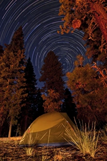 Long Exposure Nature Images Drucke: A tent and pine trees against a backdrop of star trails