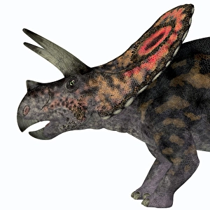 Prehistoric Creature Drucke: Torosaurus dinosaur head
