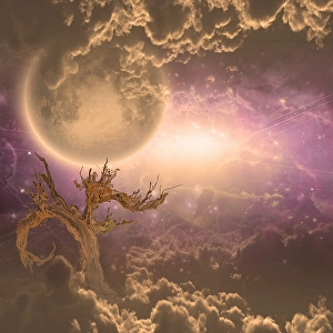 Peaceful Evening Sky Drucke: Tree and moonrise with misty clouds