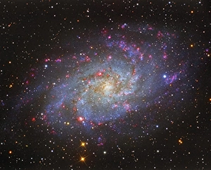 Star Formation Process Drucke: The Triangulum Galaxy